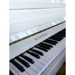 PIANO DROIT OCCASION RIPPEN CONCERTO 2 Ivoire Brillant 1.20m