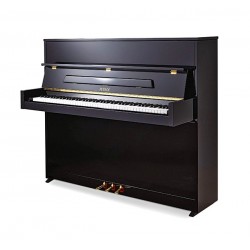 PIANO DROIT PETROF P118 S1 Noir Poli