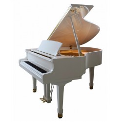 Piano à queue P173 Breeze