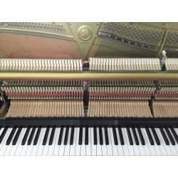 Piano Droit Disklavier YAMAHA DYUS1 Enspire 121cm