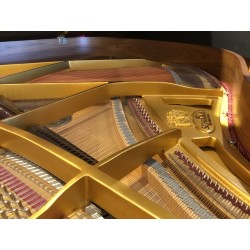 Piano à queue SCHIMMEL 150T Noyer satiné