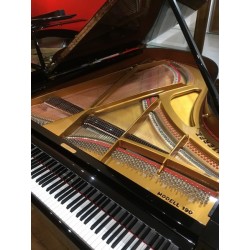 PIANO A QUEUE OCCASION W HOFFMANN H190 Noir Brillant