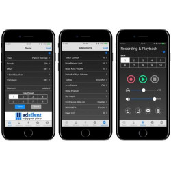 Système silencieux adsilent  pour piano droit