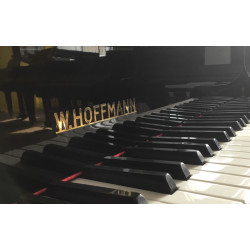 PIANO A QUEUE W.HOFFMANN 165 Langlau Noir brillant