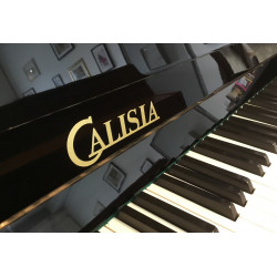 Piano droit CALISIA M113 Noir brillant 113 cm