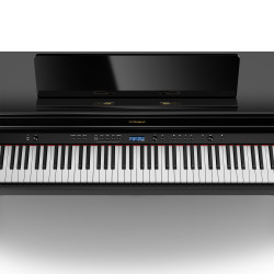 ROLAND HP 704 PE Ebene poli