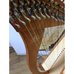 Harpe Celtique Camac Hermine d'occasion - Zikinf