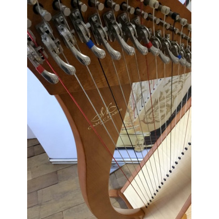 Harpe Irlandaise Celtique 12 Cordes En Bois De Rose - Cordes De Rechange Et Clé Incluses