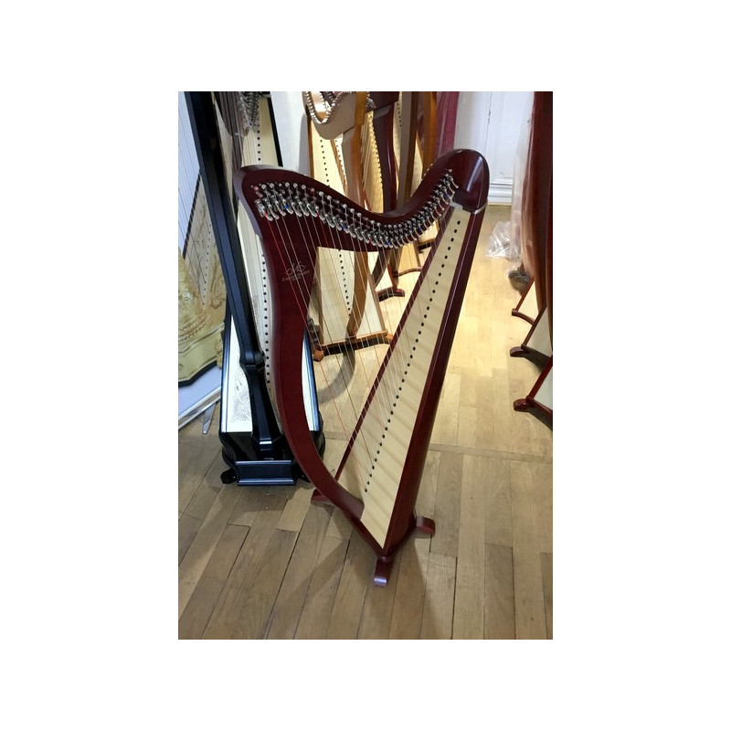 Harpe celtique Camac Hermine 34 cordes Acajou