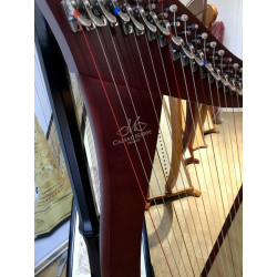 Harpe celtique Camac Hermine 34 cordes Acajou