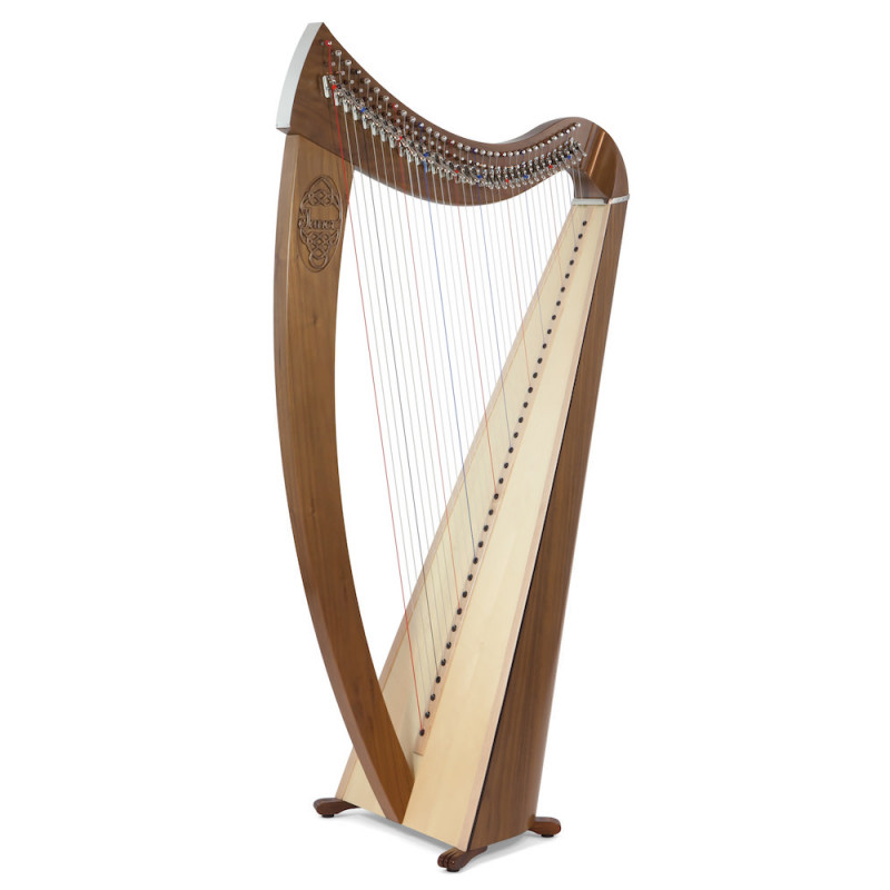 Harpe CAMAC, modèle JANET