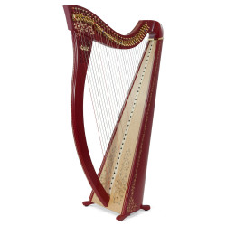Harpe CAMAC, modèle AZILIZ finitions spéciales