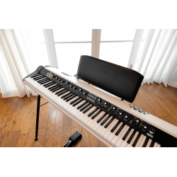 Acheter KORG DS-1H PEDALE SUSTAIN POUR PIANO NUMERIQUE ET CLAVIER KORG