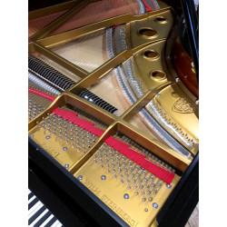 PIANO A QUEUE WILH.STEINBERG P 165 Noir Brillant