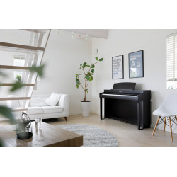 PIANO KAWAI CN 301 Piano numérique meuble