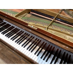 PIANO A QUEUE C.BECHSTEIN M 180 Acajou brillant