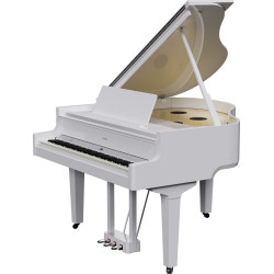 PIANO A QUEUE ROLAND GP-9M