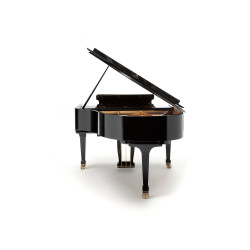 PIANO A QUEUE FAZIOLI F-156