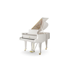 PIANO A QUEUE FAZIOLI F-156