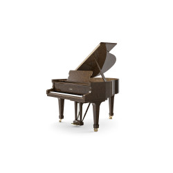 PIANO A QUEUE FAZIOLI F-156