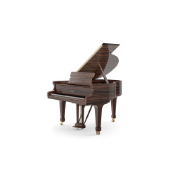 PIANO A QUEUE FAZIOLI F-156