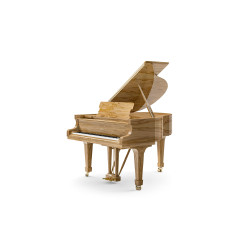 PIANO A QUEUE FAZIOLI F-156