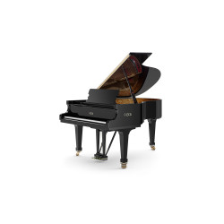 PIANO A QUEUE FAZIOLI F-183