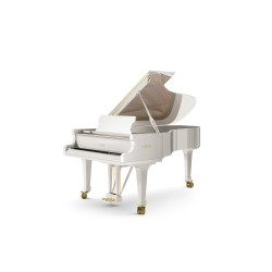 PIANO A QUEUE FAZIOLI F-228