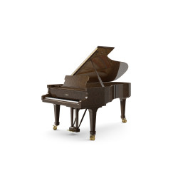 PIANO A QUEUE FAZIOLI F-228