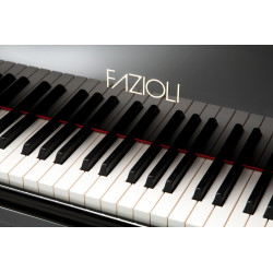 PIANO A QUEUE FAZIOLI F-308