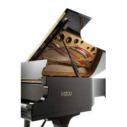 PIANO A QUEUE FAZIOLI F-308