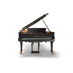 PIANO A QUEUE FAZIOLI F-308