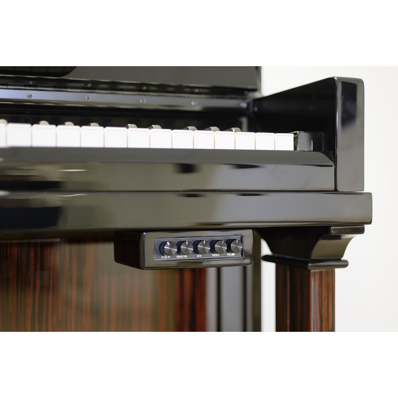 Pleyel Magistral : transformez votre piano en enceinte connectée