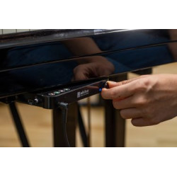 Système silencieux adsilent  pour piano droit