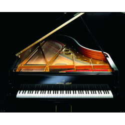 PIANO A QUEUE SHIGERU KAWAI SK5L 200cm Noir brillant