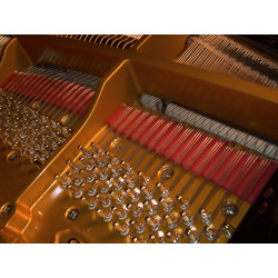 PIANO A QUEUE SHIGERU KAWAI SK6L 214cm Noir brillant
