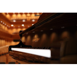 PIANO A QUEUE SHIGERU KAWAI SK7L 229cm Noir brillant