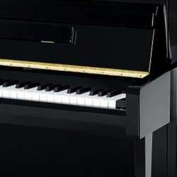 PIANO DROIT ZIMMERMANN Z3-116-A partir de 11 390 €/OFFRE PROMOTIONELLE ?