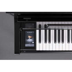 KAWAI NV6 PIANO HYBRIDE NOVUS