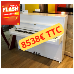 PIANO DROIT PETROF P 118 S1...