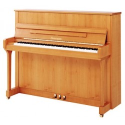 PIANO DROIT ZIMMERMANN Z2-120-A partir de 12 250 €/OFFRE PROMOTIONELLE ?