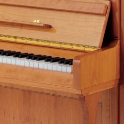 PIANO DROIT ZIMMERMANN Z2-120-A partir de 12 250 €/OFFRE PROMOTIONELLE ?