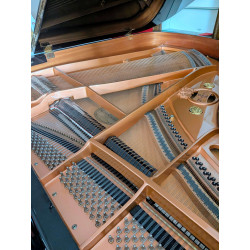 SCHIMMEL 174 ADSilent Piano à queue Noir Brillant