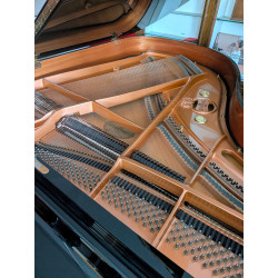 SCHIMMEL 174 ADSilent Piano à queue Noir Brillant