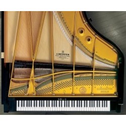 PIANO A QUEUE C.BECHSTEIN D-282 Noir Brillant