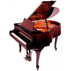 PIANO A QUEUE PETROF P-V BORA 1,59 m Noir Brillant OFFRE SPECIALE