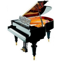 PIANO A QUEUE PETROF P-IV BREEZE 1,73 m Noir Brillant OFFRE SPECIALE