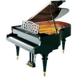 PIANO A QUEUE PETROF P-194 STORM 1,94m OFFRE SPECIALE