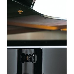 PIANO A QUEUE SAUTER 220 OMEGA A Partir de 46 010 €/OFFRE PROMOTIONELLE ?