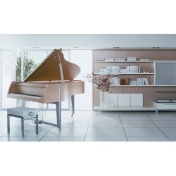 PIANO A QUEUE SAUTER Peter Maly VIVACE 210 cm/Bois Précieux Satiné/OFFRE PROMOTIONELLE ?